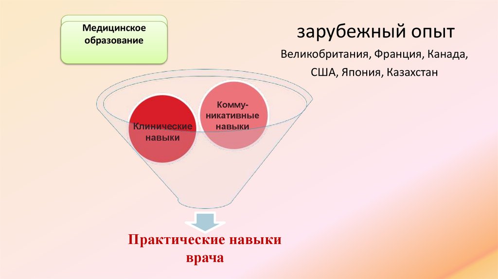 зарубежный опыт Великобритания, Франция, Канада, США, Япония, Казахстан
