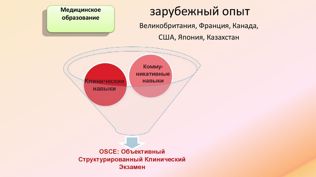 зарубежный опыт Великобритания, Франция, Канада, США, Япония, Казахстан