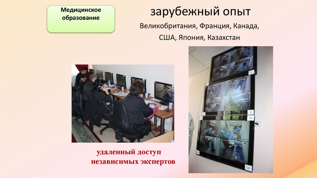 зарубежный опыт Великобритания, Франция, Канада, США, Япония, Казахстан