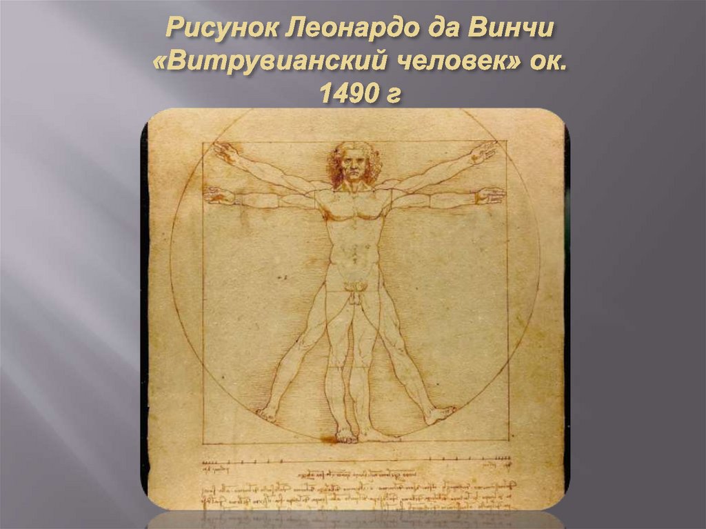 Рисунок Леонардо да Винчи «Витрувианский человек» ок. 1490 г