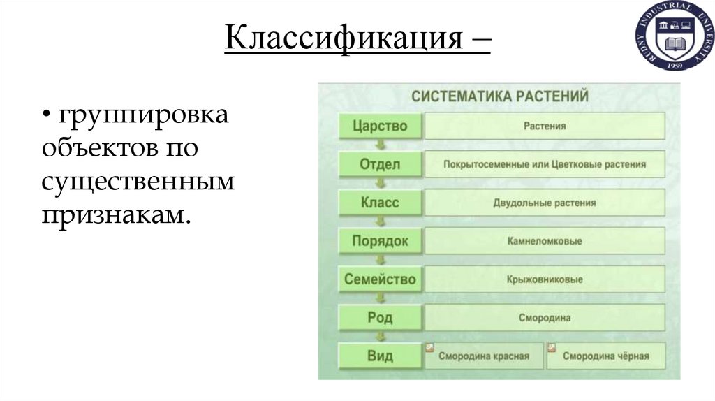 Классификация –