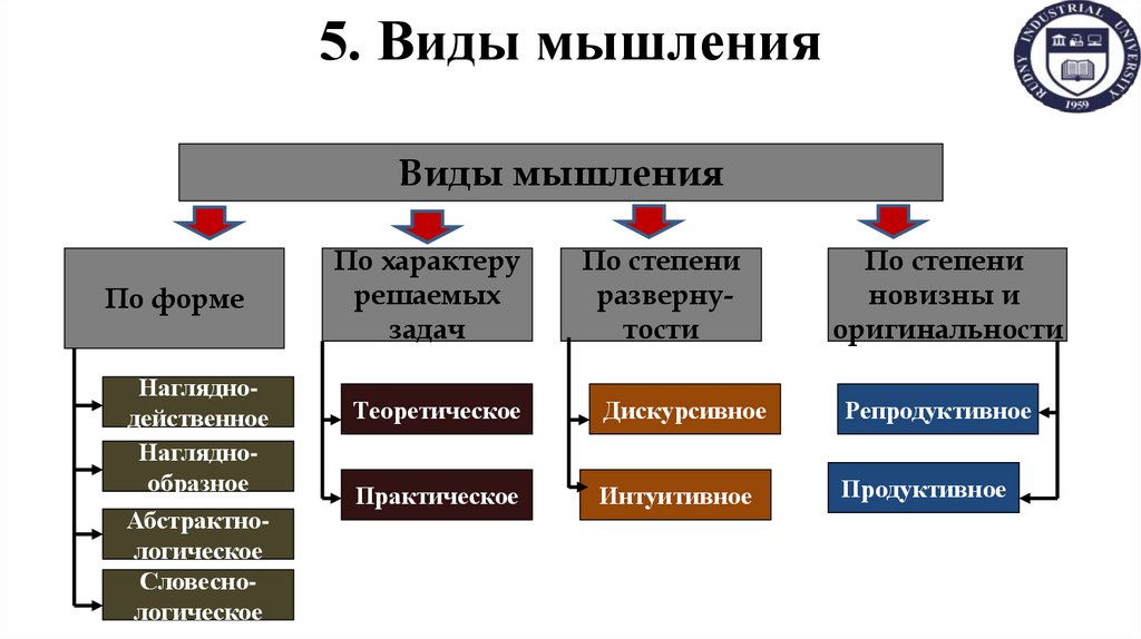 5. Виды мышления