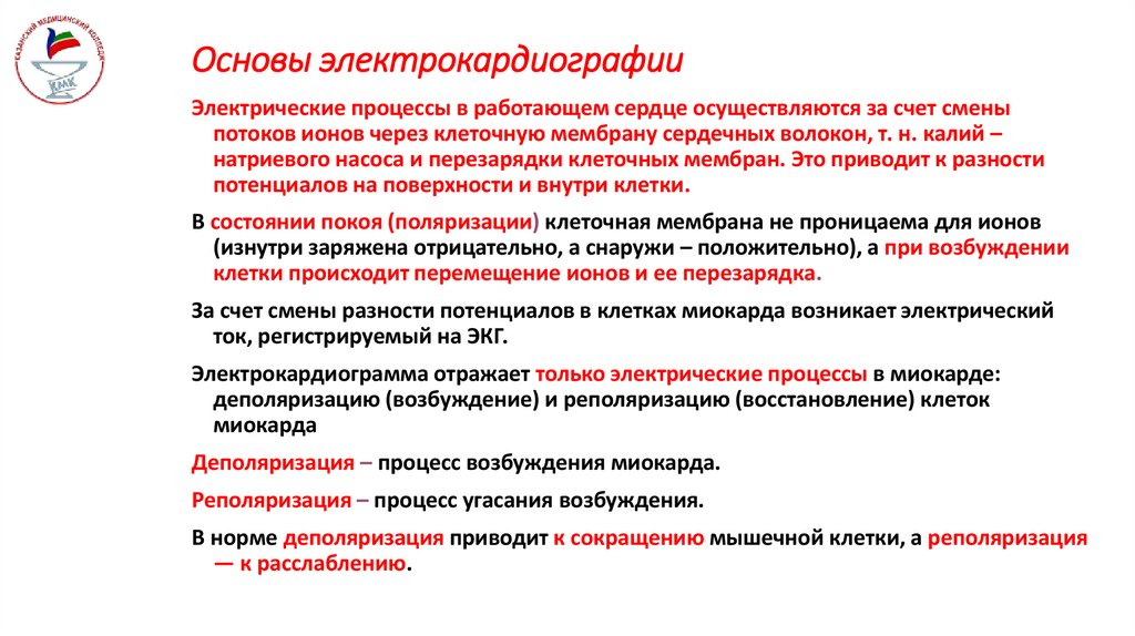 Основы электрокардиографии