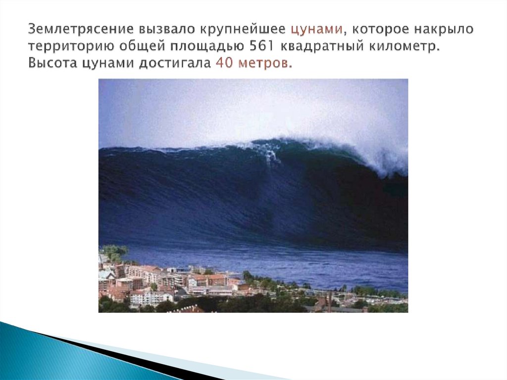 Землетрясение вызвало крупнейшее цунами, которое накрыло территорию общей площадью 561 квадратный километр. Высота цунами