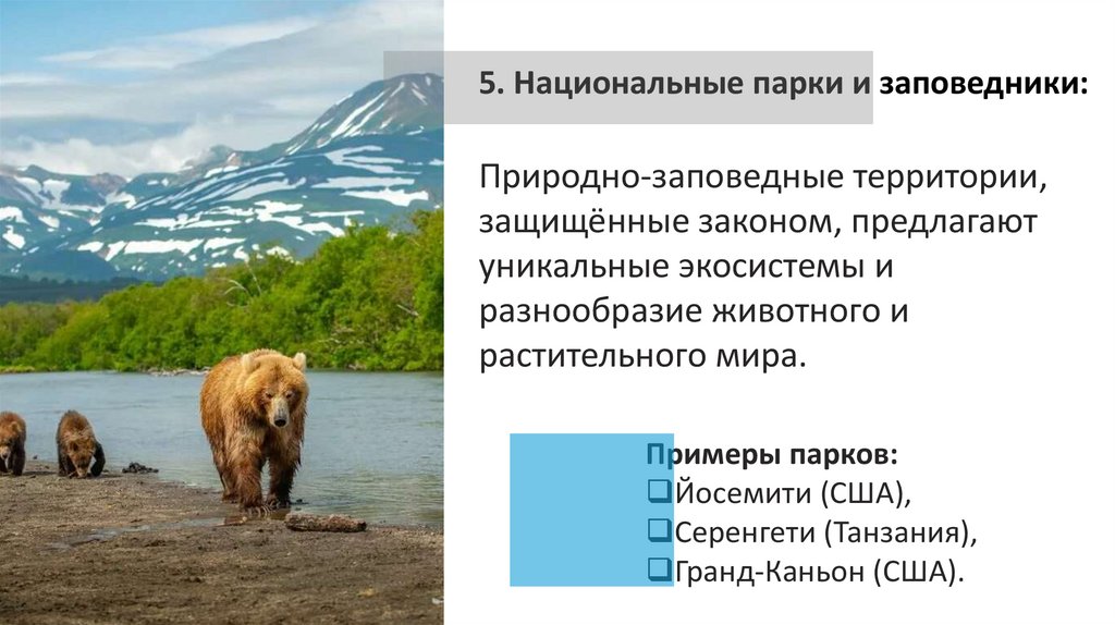 EXPLORE YOUR PROGRAM OPTIONS