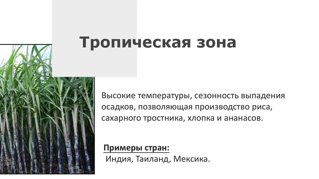 TYPE YOUR AWESOME TITLE HERE