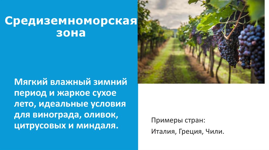 TYPE YOUR AWESOME TITLE HERE