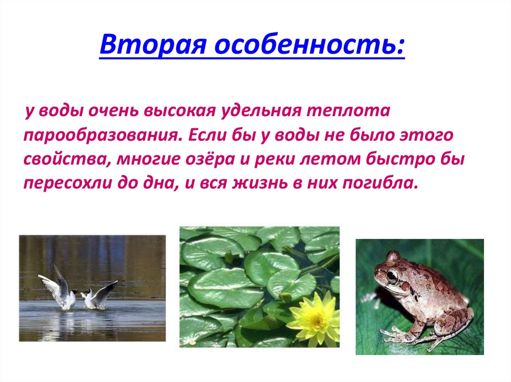 Вторая особенность: