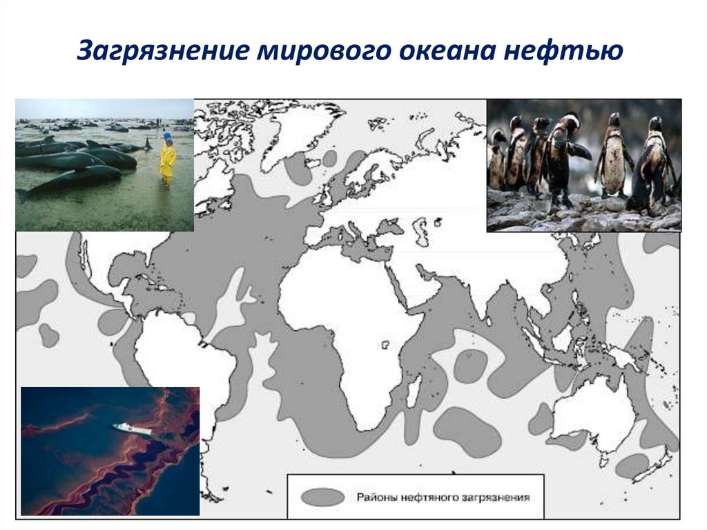 Загрязнение мирового океана нефтью