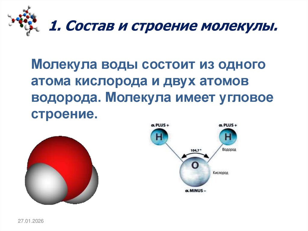 1. Состав и строение молекулы.