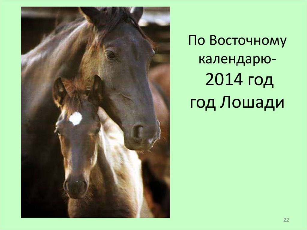 По Восточному календарю- 2014 год год Лошади