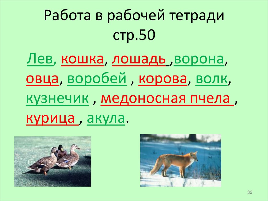 Работа в рабочей тетради стр.50