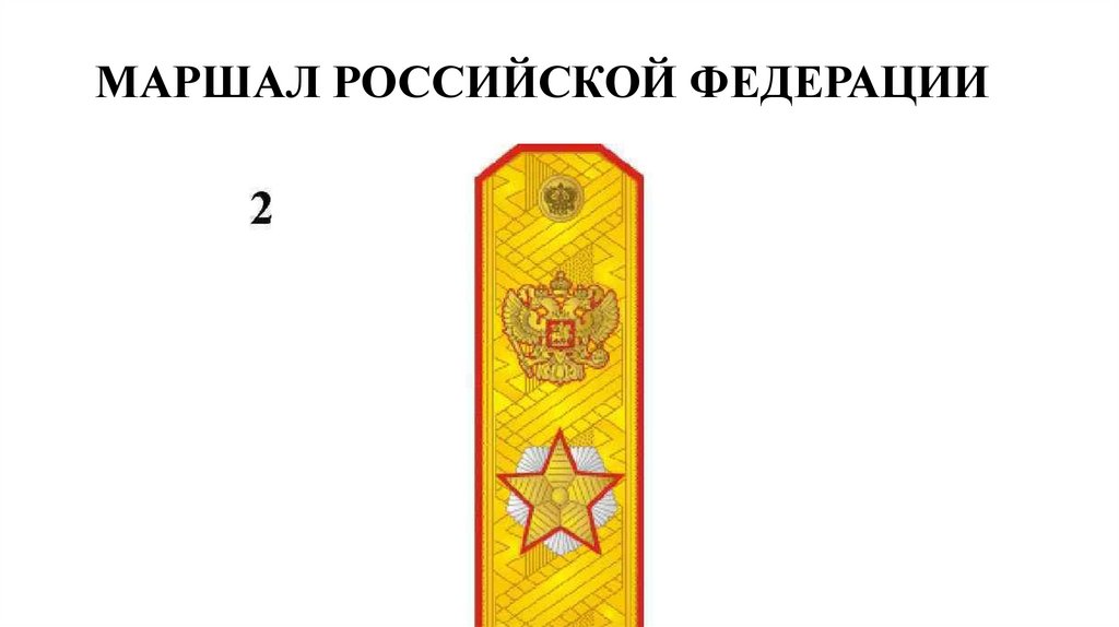 МАРШАЛ РОССИЙСКОЙ ФЕДЕРАЦИИ