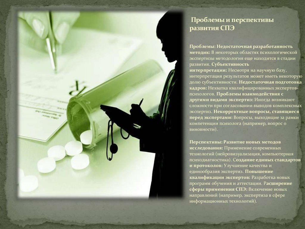  Проблемы и перспективы развития СПЭ