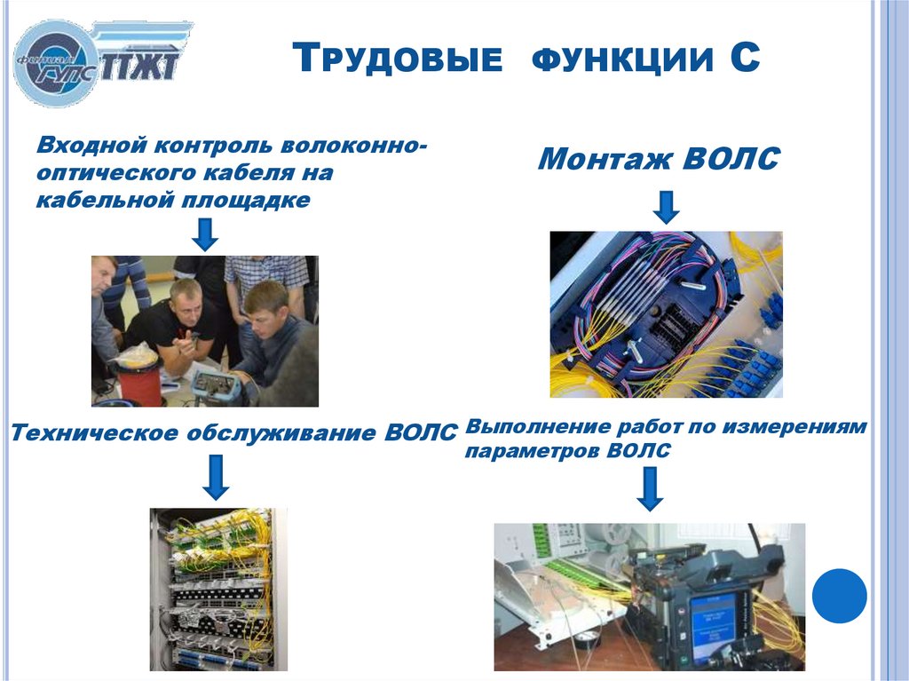 Трудовые функции C