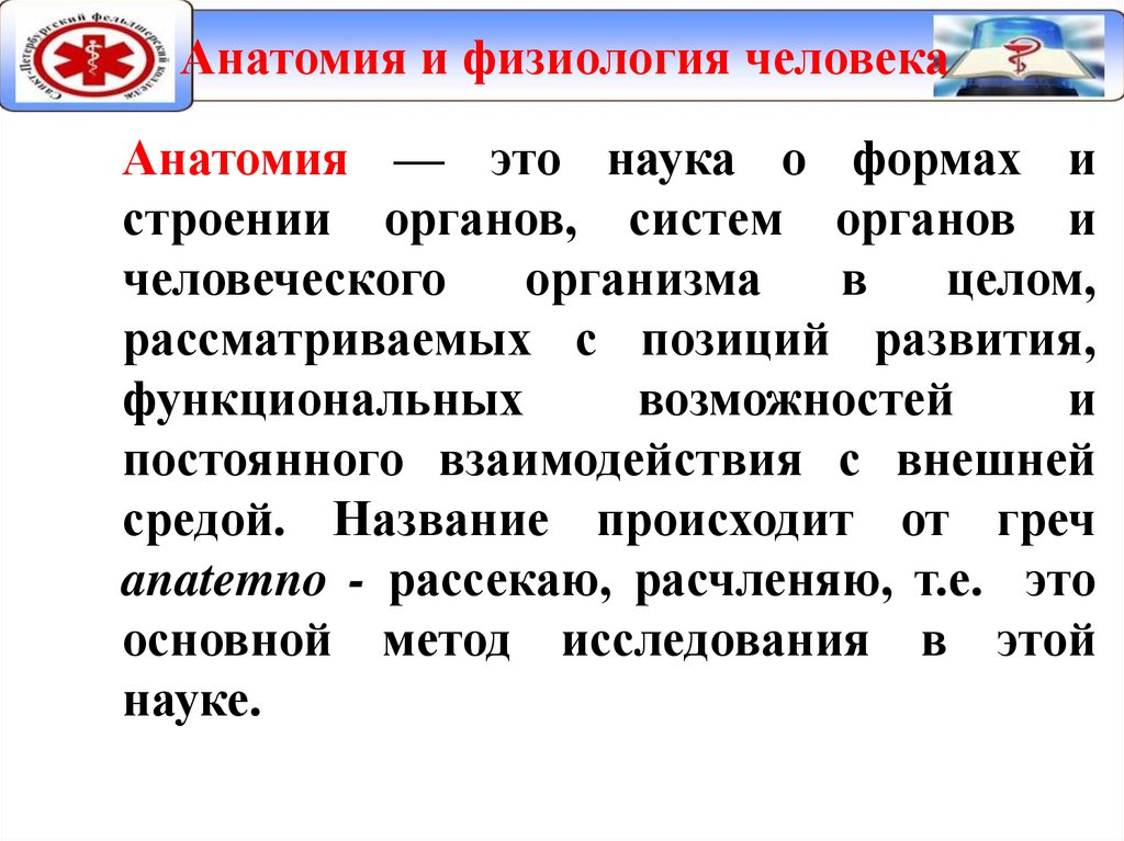 Анатомия и физиология человека