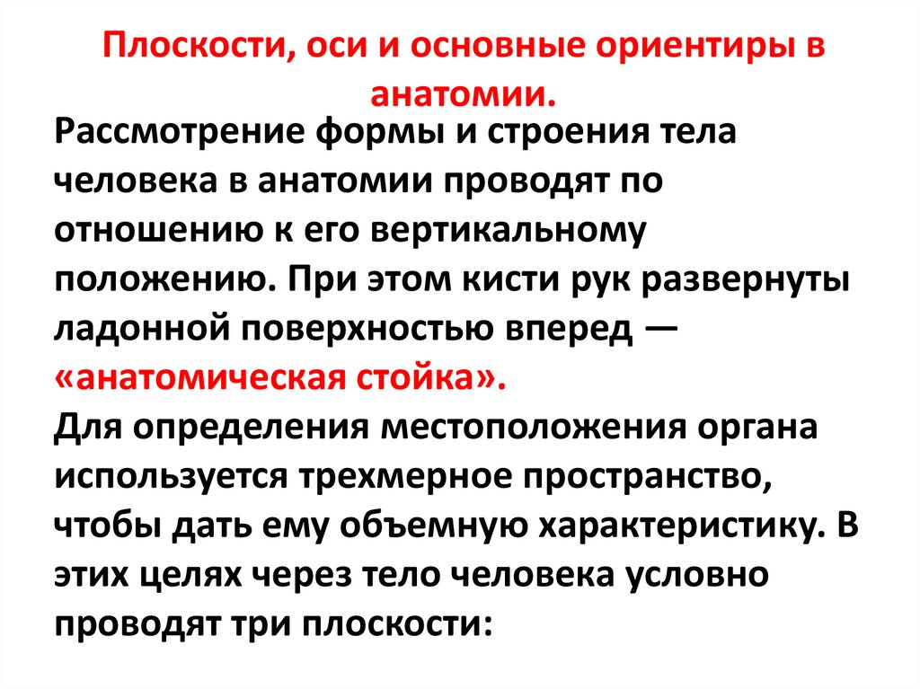 Рассмотрение формы и строения тела человека в анатомии проводят по отношению к его вертикальному положению. При этом кисти рук
