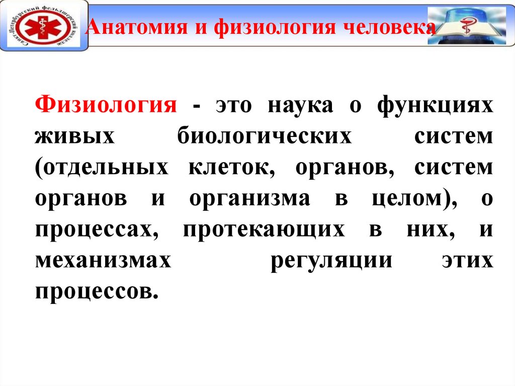 Анатомия и физиология человека