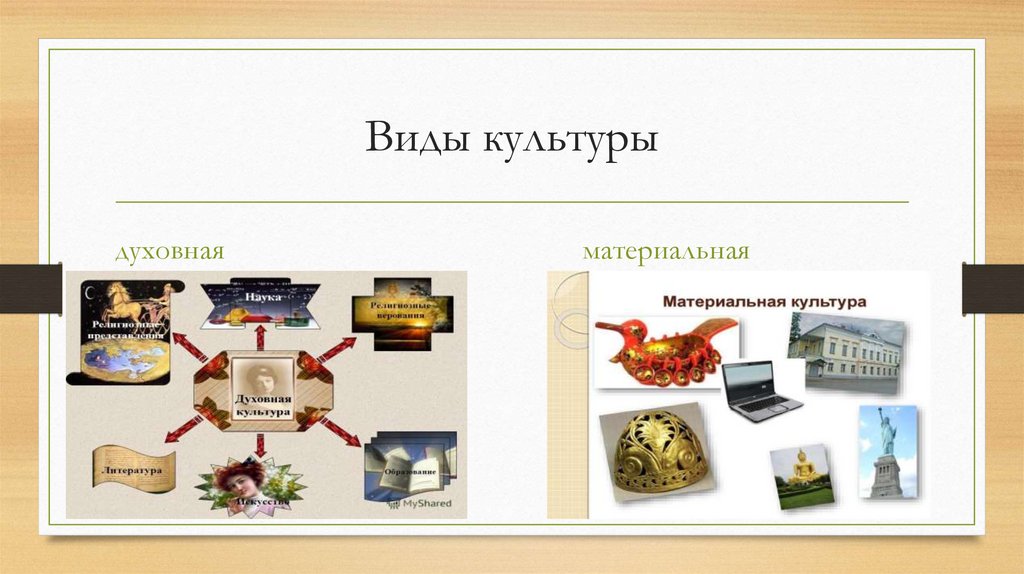 Виды культуры