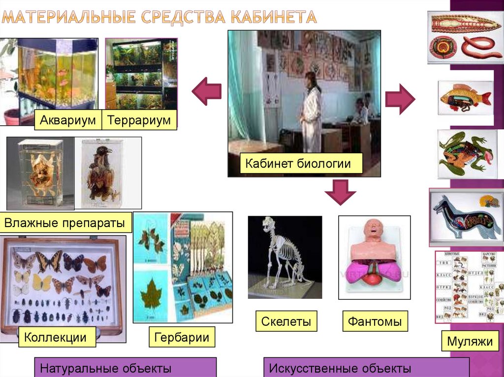 Материальные средства кабинета