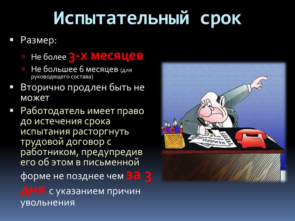 Испытательный срок