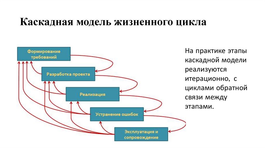 Каскадная модель жизненного цикла