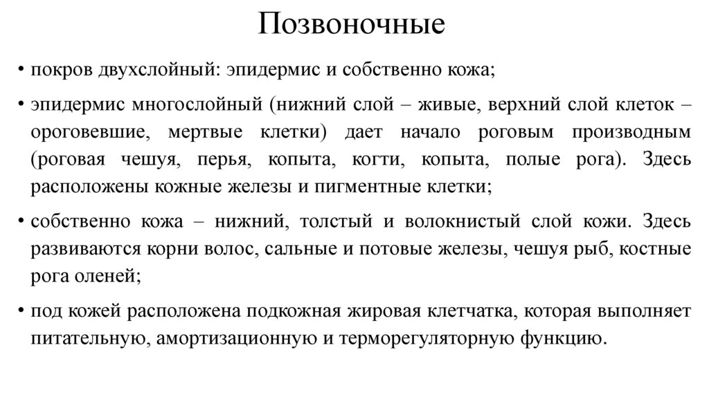 Позвоночные