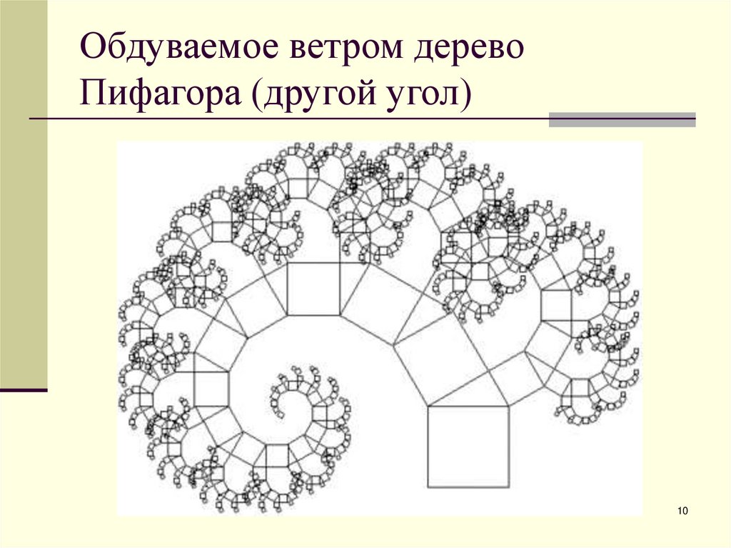 Обдуваемое ветром дерево Пифагора (другой угол)