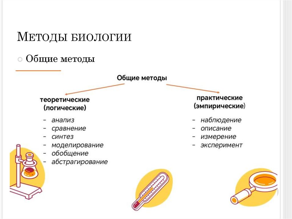 Методы биологии