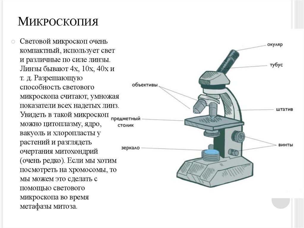 Микроскопия