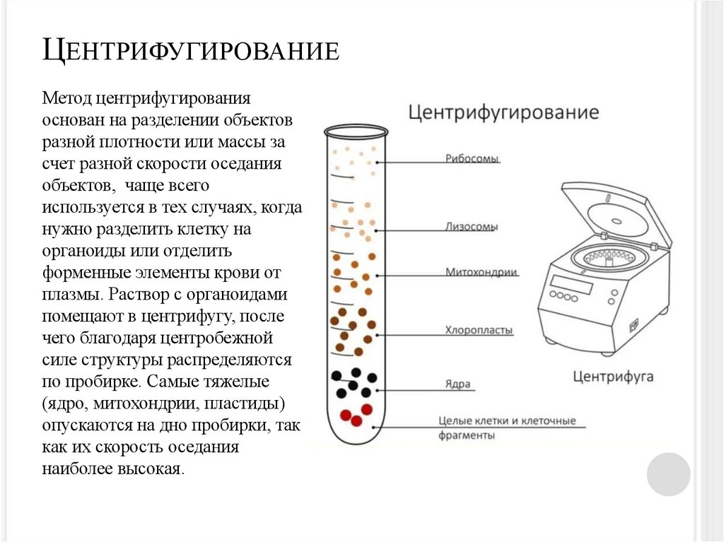 Центрифугирование