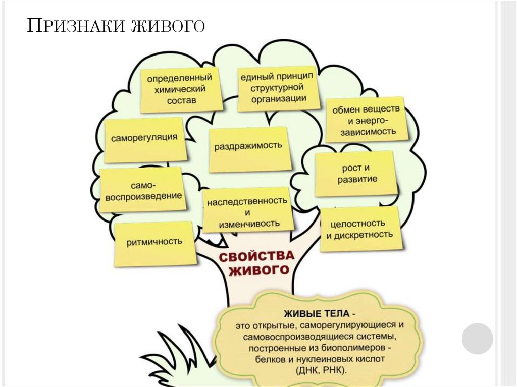 Признаки живого
