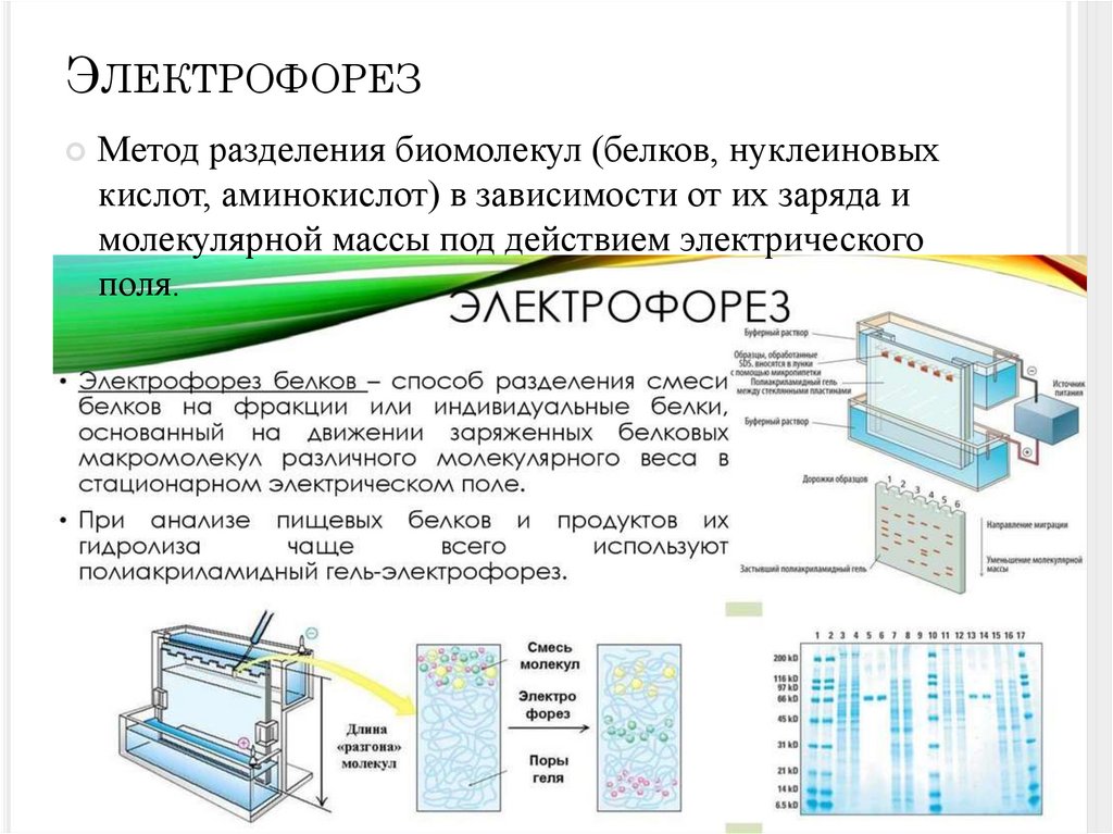 Электрофорез