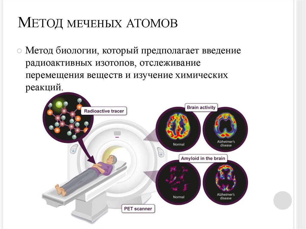 Метод меченых атомов