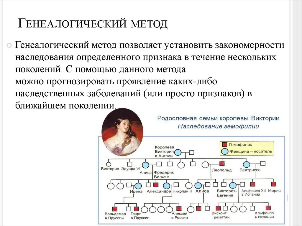 Генеалогический метод