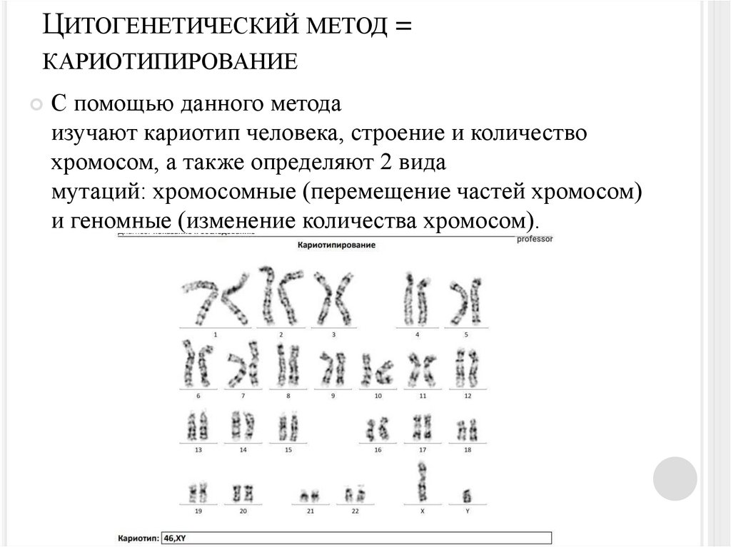 Цитогенетический метод = кариотипирование