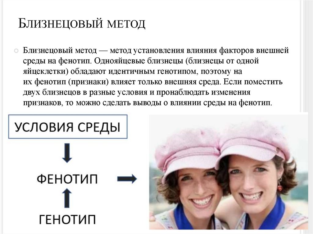 Близнецовый метод