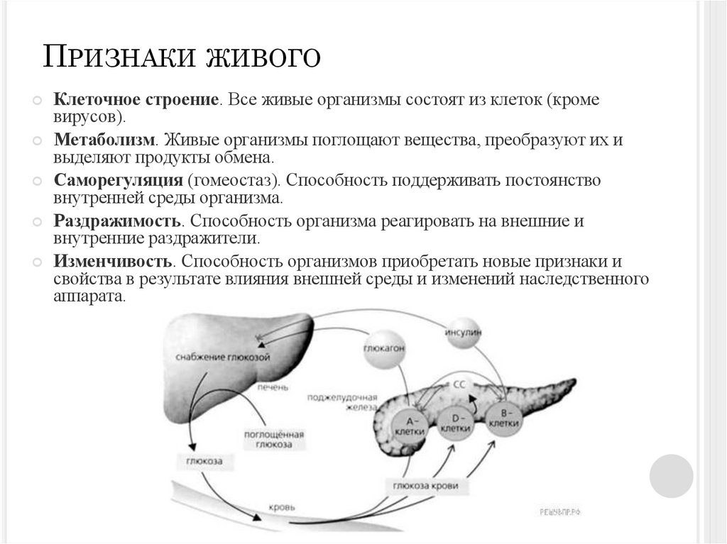 Признаки живого