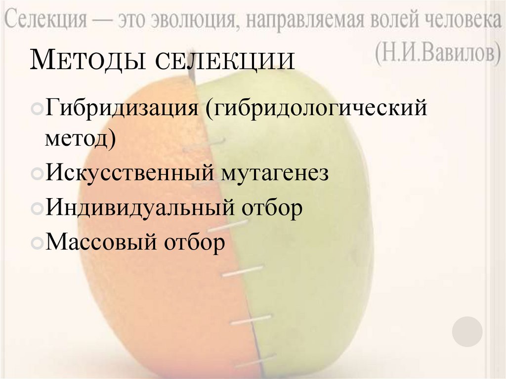 Методы селекции