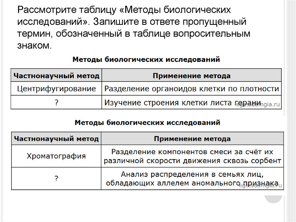 Рассмотрите таблицу «Методы биологических исследований». Запишите в ответе пропущенный термин, обозначенный в таблице