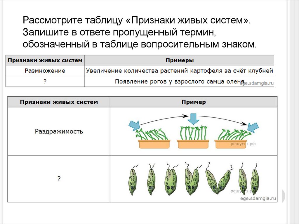 Рассмотрите таблицу «Признаки живых систем». Запишите в ответе пропущенный термин, обозначенный в таблице вопросительным