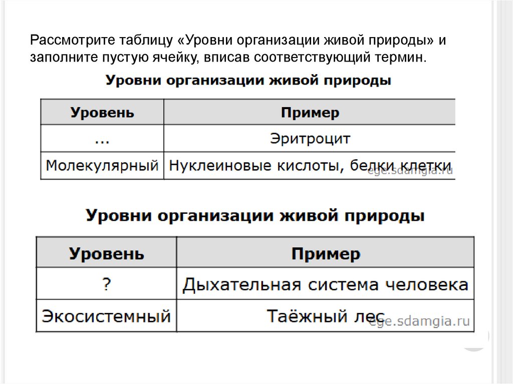 Рассмотрите таблицу «Уровни организации живой природы» и заполните пустую ячейку, вписав соответствующий термин.