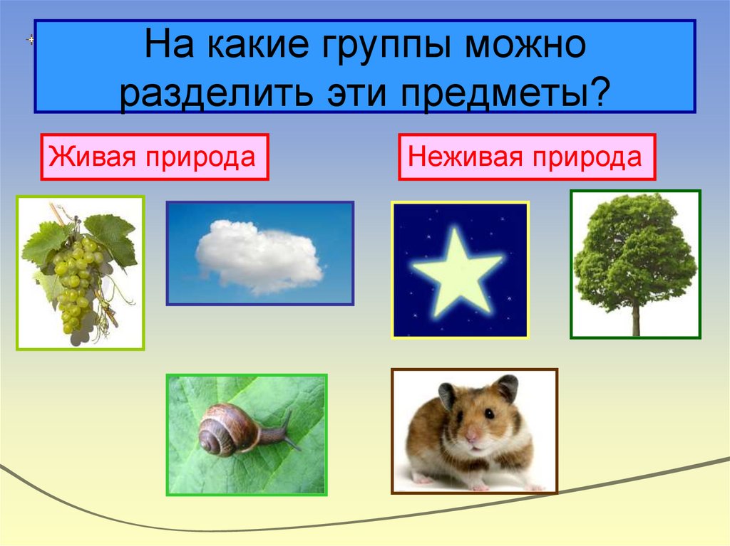 На какие группы можно разделить эти предметы?