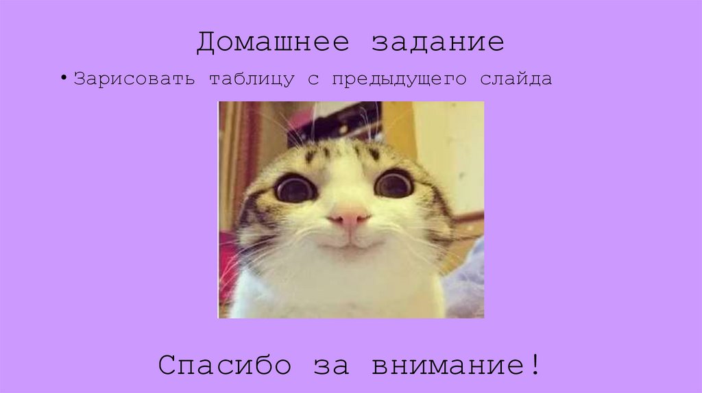 Домашнее задание