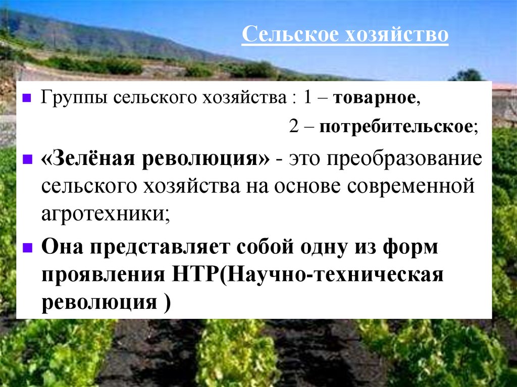 Сельское хозяйство