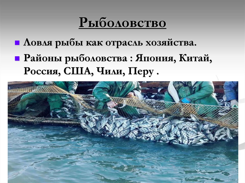 Рыболовство