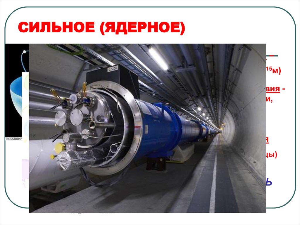 СИЛЬНОЕ (ЯДЕРНОЕ)