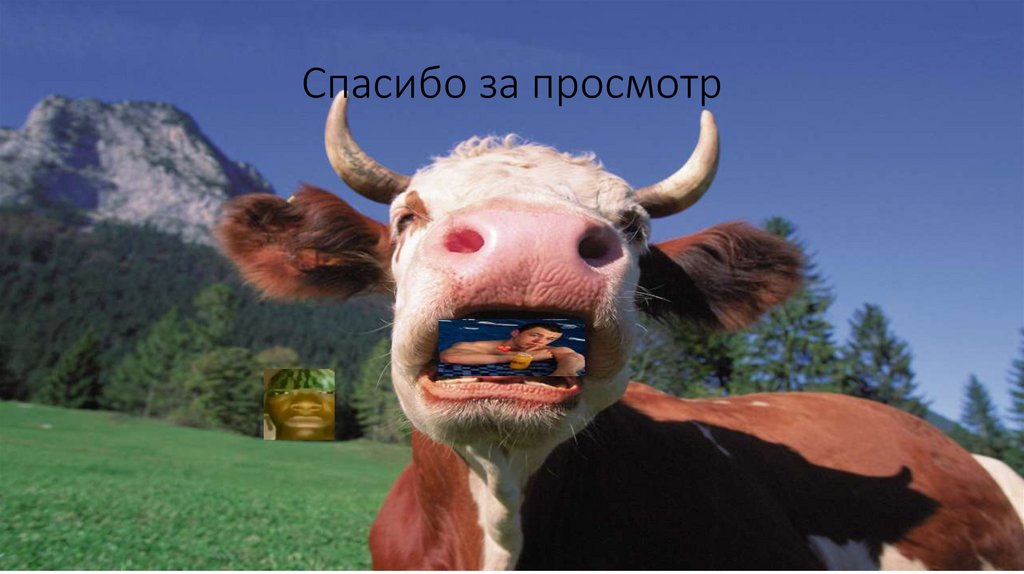 Спасибо за просмотр