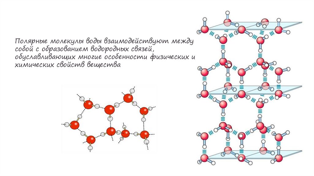 Полярные молекулы воды взаимодействуют между собой с образованием водородных связей, обуславливающих многие
