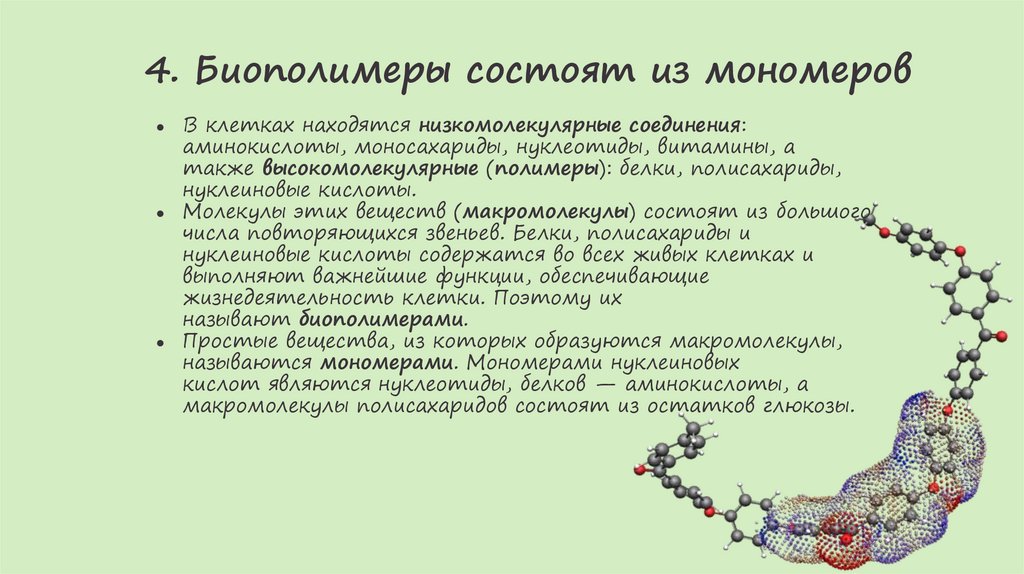 4. Биополимеры состоят из мономеров